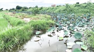 Hoi An (Хойан) - прибрежные места для рыбалки и спокойная вода