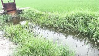 Hoi An (Хойан) - прибрежные места для рыбалки и спокойная вода