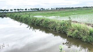 Hoi An (Хойан) - прибрежные места для рыбалки и спокойная вода
