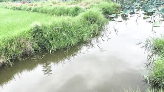 Hoi An (Хойан) - прибрежные места для рыбалки и спокойная вода