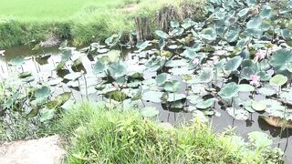 Hoi An (Хойан) - прибрежные места для рыбалки и спокойная вода