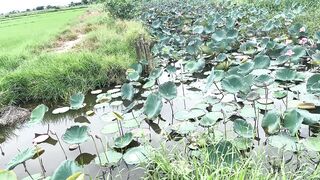 Hoi An (Хойан) - прибрежные места для рыбалки и спокойная вода