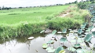 Hoi An (Хойан) - прибрежные места для рыбалки и спокойная вода