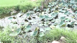 Hoi An (Хойан) - прибрежные места для рыбалки и спокойная вода