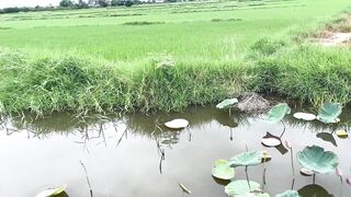 Hoi An (Хойан) - прибрежные места для рыбалки и спокойная вода