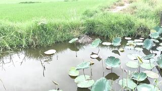 Hoi An (Хойан) - прибрежные места для рыбалки и спокойная вода
