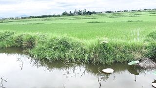 Hoi An (Хойан) - прибрежные места для рыбалки и спокойная вода