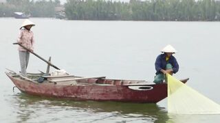 Hoi An (Хойан) речные «монстры» у берега это про что?