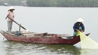 Hoi An (Хойан) речные «монстры» у берега это про что?