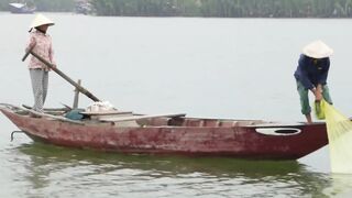 Hoi An (Хойан) речные «монстры» у берега это про что?