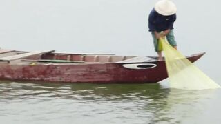 Hoi An (Хойан) речные «монстры» у берега это про что?