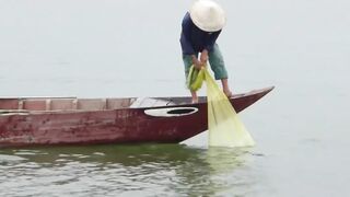 Hoi An (Хойан) речные «монстры» у берега это про что?