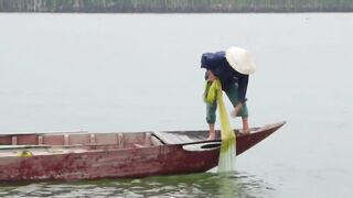 Hoi An (Хойан) речные «монстры» у берега это про что?