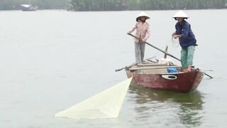 Hoi An (Хойан) речные «монстры» у берега это про что?