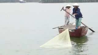 Hoi An (Хойан) речные «монстры» у берега это про что?