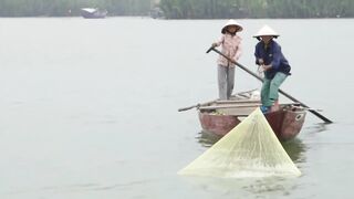 Hoi An (Хойан) речные «монстры» у берега это про что?
