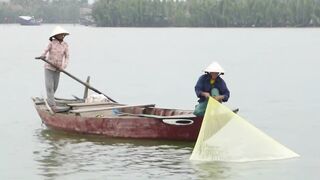 Hoi An (Хойан) речные «монстры» у берега это про что?