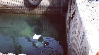 Тель-Авив река Яркон и порты Яффо береговая рыбалка на приманки