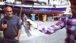 Тель-Авив река Яркон и порты Яффо береговая рыбалка на приманки