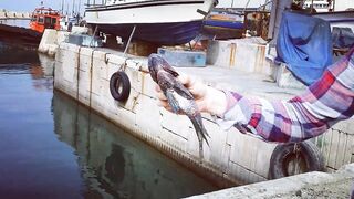 Тель-Авив река Яркон и порты Яффо береговая рыбалка на приманки