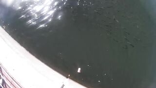 Herzliya Marina (Марина Герцлия) - рыбалка у бровки и пирсов