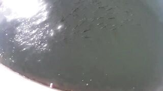 Herzliya Marina (Марина Герцлия) - рыбалка у бровки и пирсов