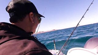 La Paz (Ла-Пас), Baja Mexico (Нижняя Калифорния): чартер и морская рыбалка