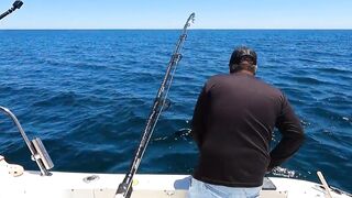 La Paz (Ла-Пас), Baja Mexico (Нижняя Калифорния): чартер и морская рыбалка