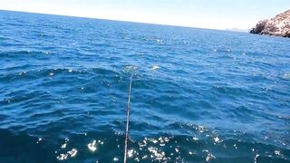 La Paz (Ла-Пас), Baja Mexico (Нижняя Калифорния): чартер и морская рыбалка