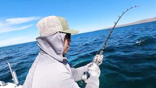 La Paz (Ла-Пас), Baja Mexico (Нижняя Калифорния): чартер и морская рыбалка