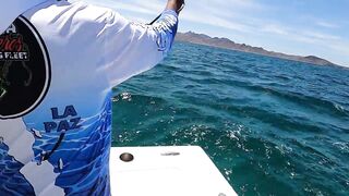 La Paz (Ла-Пас), Baja Mexico (Нижняя Калифорния): чартер и морская рыбалка