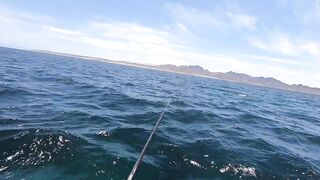 La Paz (Ла-Пас), Baja Mexico (Нижняя Калифорния): чартер и морская рыбалка