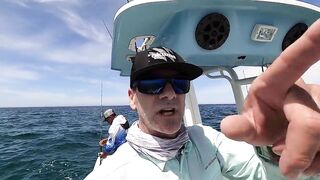 La Paz (Ла-Пас), Baja Mexico (Нижняя Калифорния): чартер и морская рыбалка