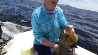 La Paz (Ла-Пас), Baja Mexico (Нижняя Калифорния): чартер и морская рыбалка