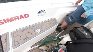 La Paz (Ла-Пас), Baja Mexico (Нижняя Калифорния): чартер и морская рыбалка