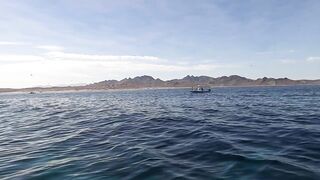 La Paz (Ла-Пас), Baja Mexico (Нижняя Калифорния): чартер и морская рыбалка