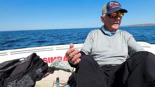 La Paz (Ла-Пас), Baja Mexico (Нижняя Калифорния): чартер и морская рыбалка