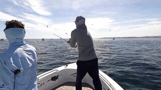 La Paz (Ла-Пас), Baja Mexico (Нижняя Калифорния): чартер и морская рыбалка