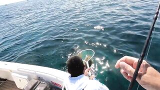 La Paz (Ла-Пас), Baja Mexico (Нижняя Калифорния): чартер и морская рыбалка