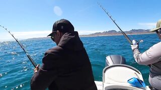 La Paz (Ла-Пас), Baja Mexico (Нижняя Калифорния): чартер и морская рыбалка