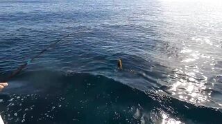 La Paz (Ла-Пас) рыбалка мирового уровня это про что у берега?