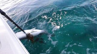 La Paz (Ла-Пас) рыбалка мирового уровня это про что у берега?