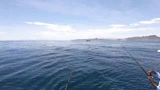 La Paz (Ла-Пас) рыбалка мирового уровня это про что у берега?