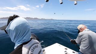 La Paz (Ла-Пас) рыбалка мирового уровня это про что у берега?