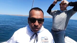 La Paz (Ла-Пас) рыбалка мирового уровня это про что у берега?