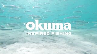 La Paz (Ла-Пас) рыбалка мирового уровня это про что у берега?