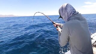 La Paz (Ла-Пас) рыбалка мирового уровня это про что у берега?