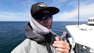 La Paz (Ла-Пас) рыбалка мирового уровня это про что у берега?