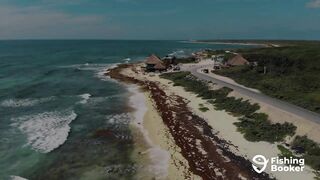 Cozumel (Косумель), что нужно знать про рыбалку у берега