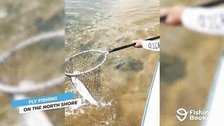 Cozumel (Косумель), что нужно знать про рыбалку у берега